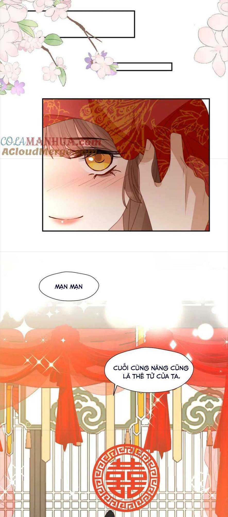 Trở Thành Nữ Phụ Ác Độc Chinh Phục Vương Gia: Chapter 101: Hết