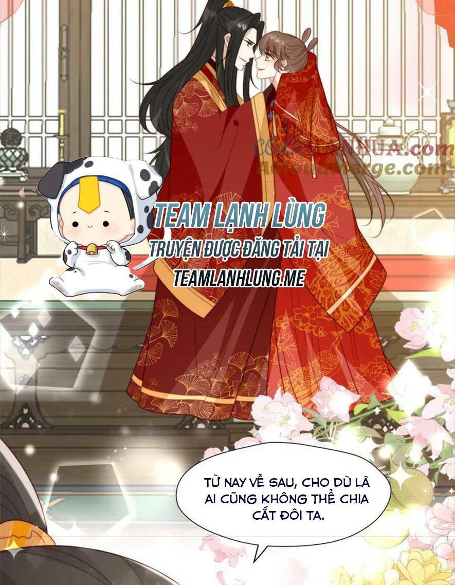 Trở Thành Nữ Phụ Ác Độc Chinh Phục Vương Gia: Chapter 101: Hết