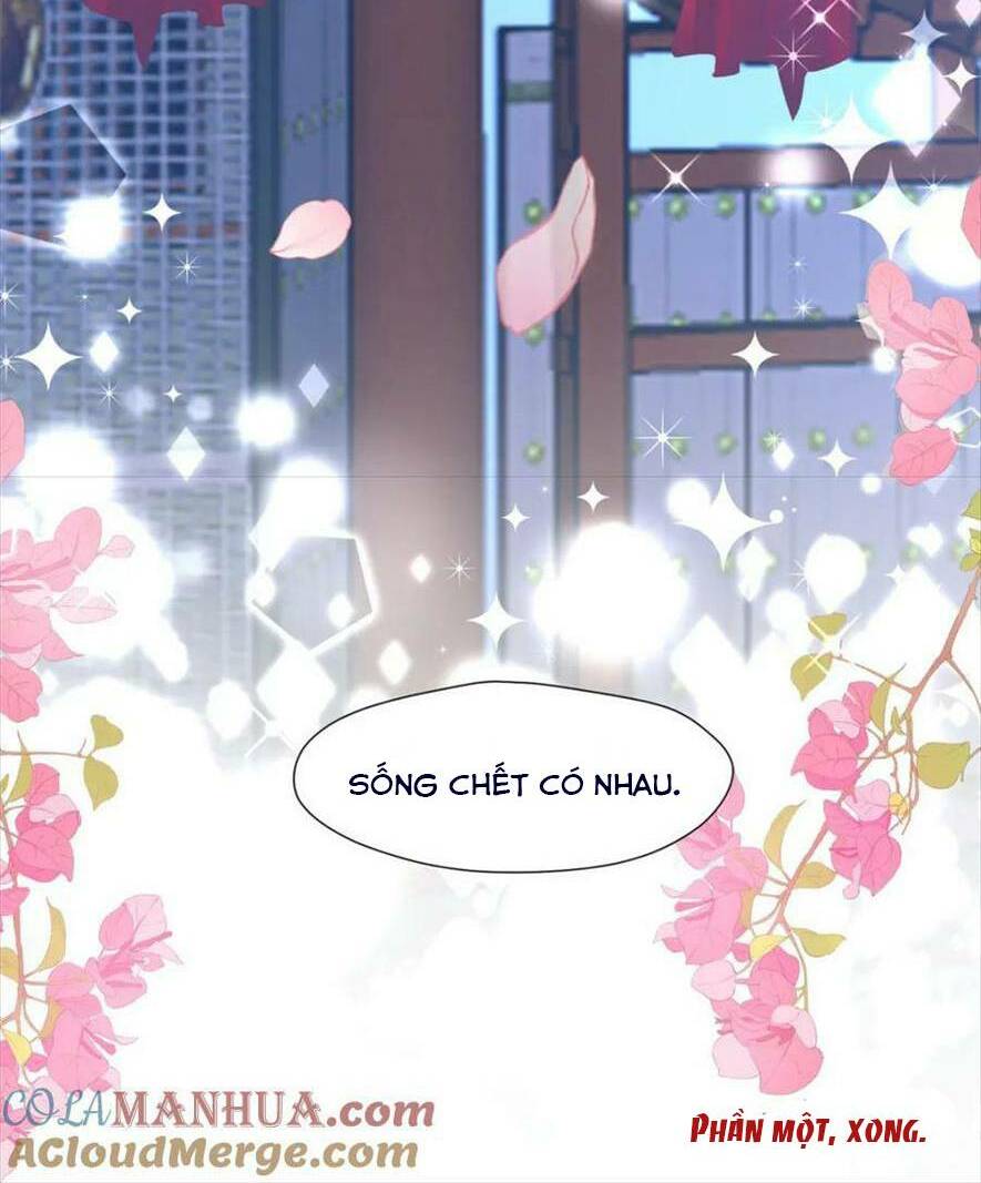 Trở Thành Nữ Phụ Ác Độc Chinh Phục Vương Gia: Chapter 101: Hết