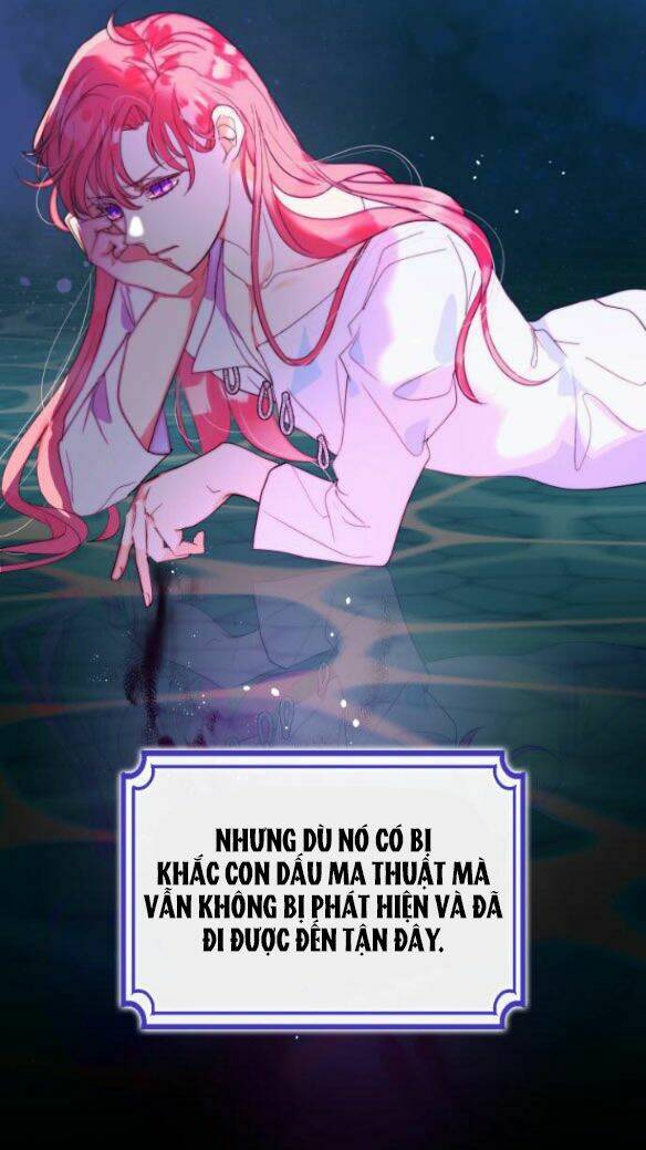 Tôi được sinh ra là con gái thứ hai: Chapter 19.2