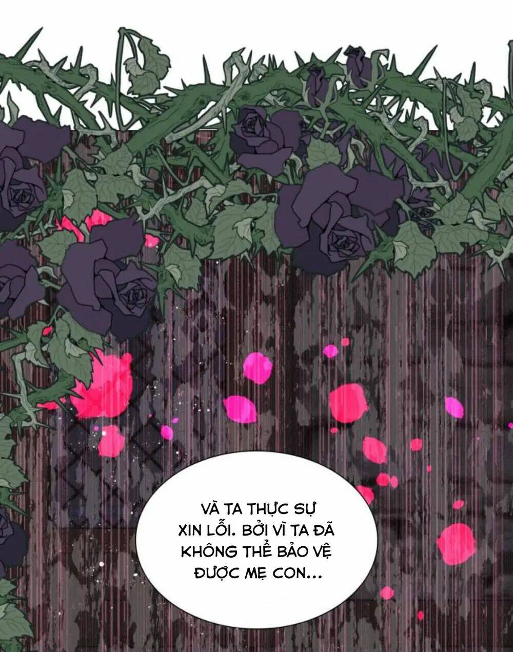 Tôi được sinh ra là con gái thứ hai: Chapter 5