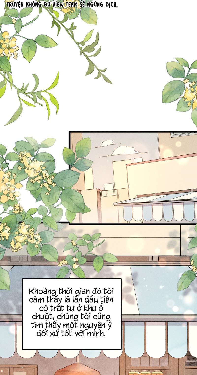 Cao Tháp: Chapter 14