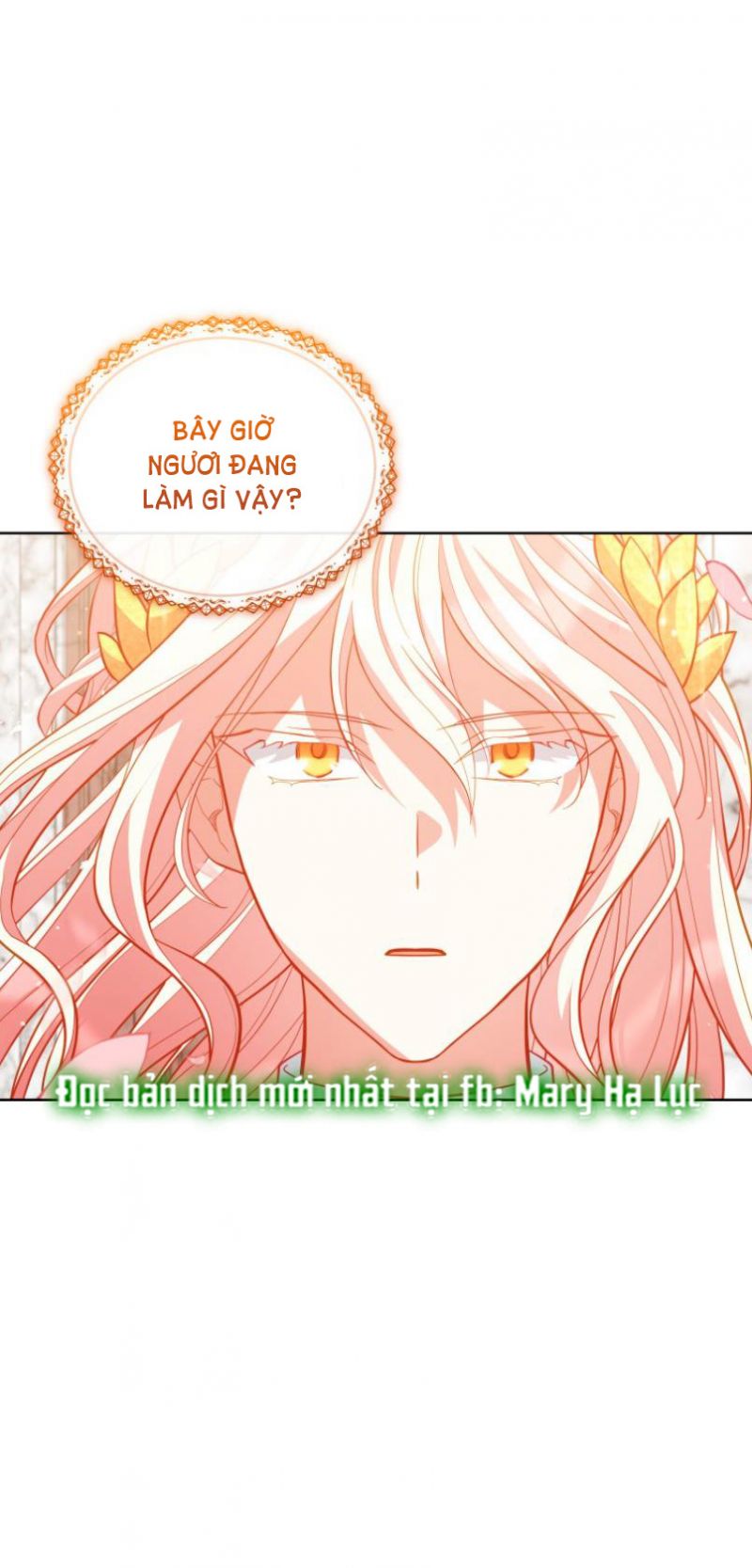Quý Cô Không Thể Tiếp Cận: Chapter 84