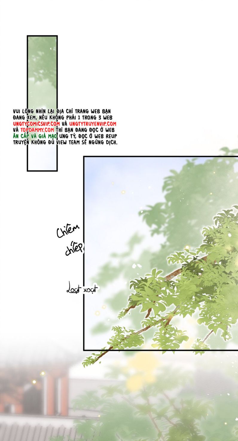 Chiết Chi: Chapter 5
