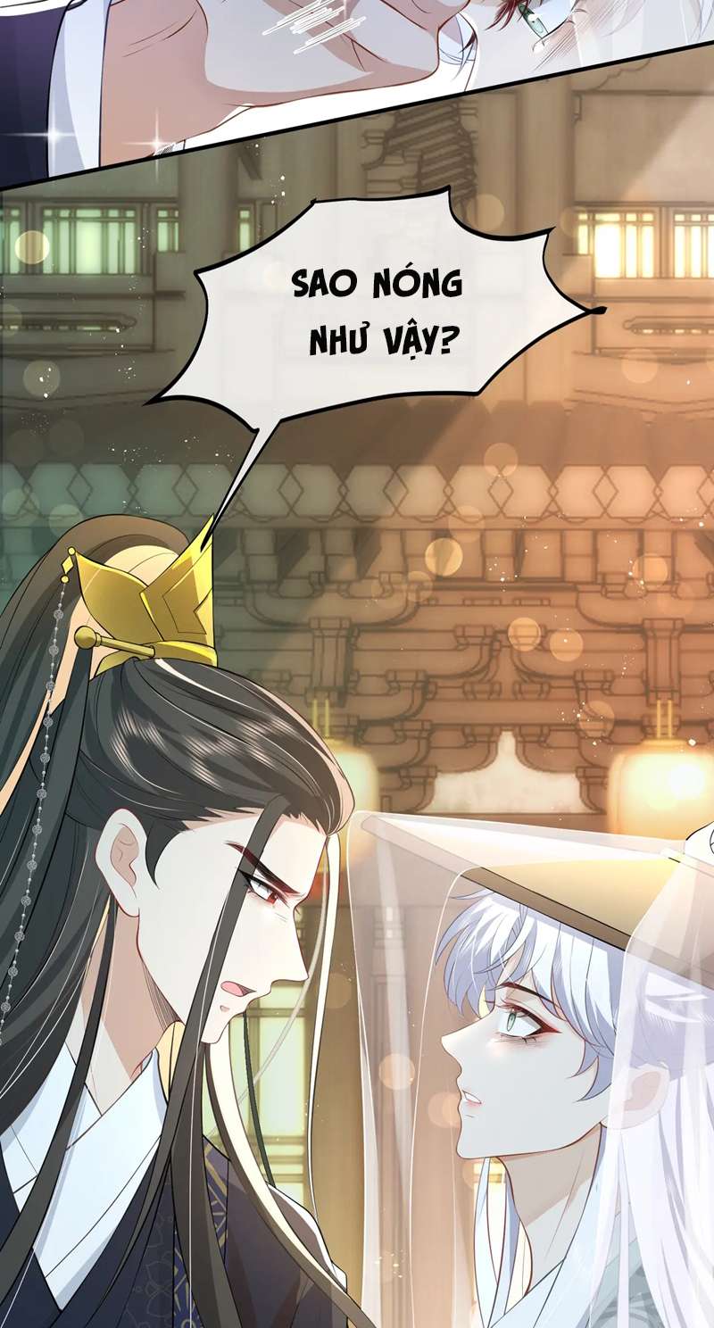 Sau Khi Ta Chết, Vương Gia Đau Không Thiết Sống: Chapter 13