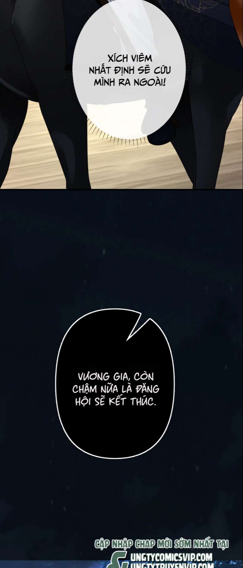 Sau Khi Ta Chết, Vương Gia Đau Không Thiết Sống: Chapter 17
