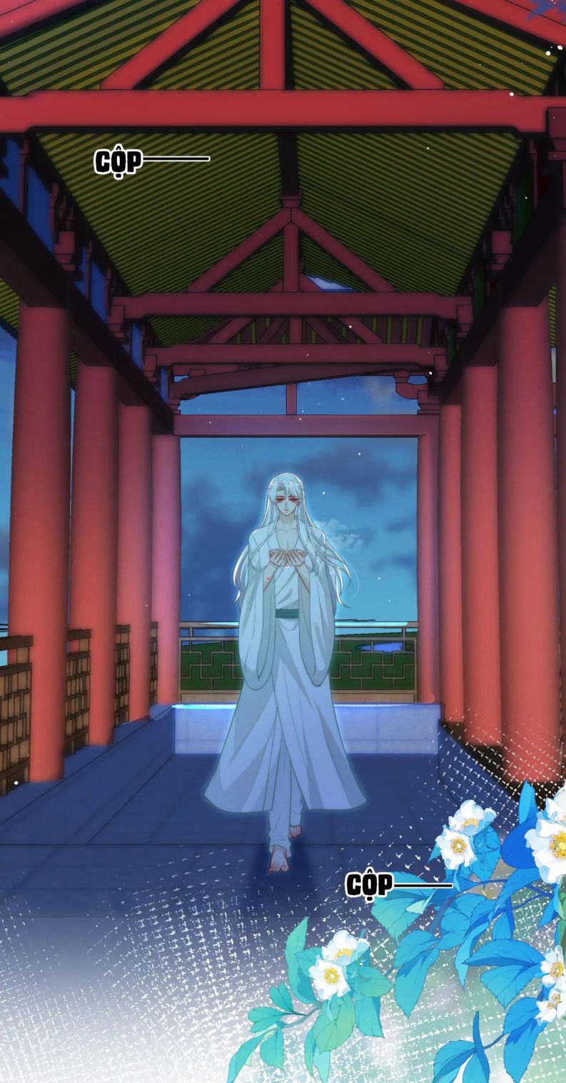 Sau Khi Ta Chết, Vương Gia Đau Không Thiết Sống: Chapter 6