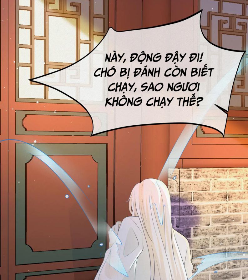 Sau Khi Ta Chết, Vương Gia Đau Không Thiết Sống: Chapter 8