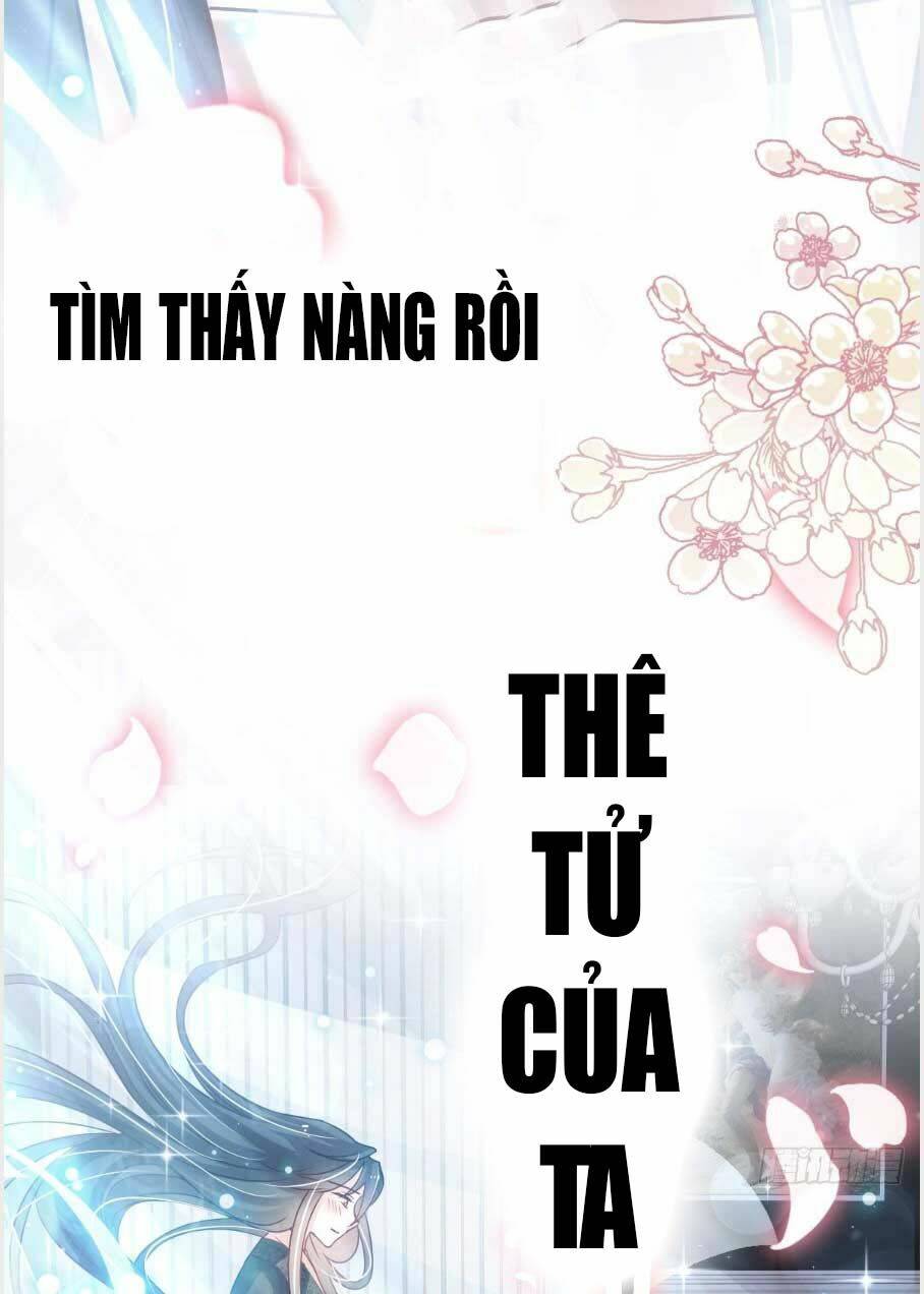 Thiên Hạ Đệ Nhất Sủng Phi: Chapter 144