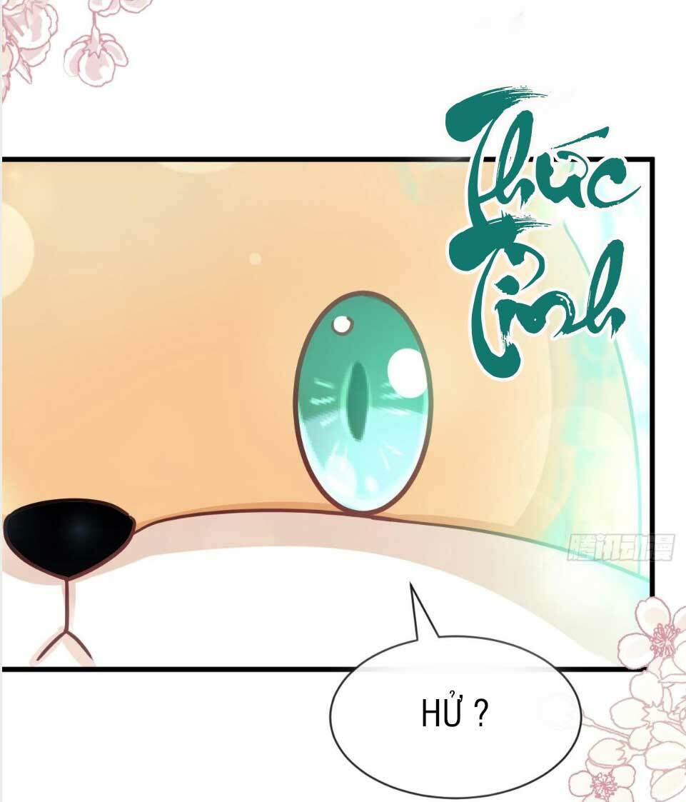 Thiên Hạ Đệ Nhất Sủng Phi: Chapter 149.2