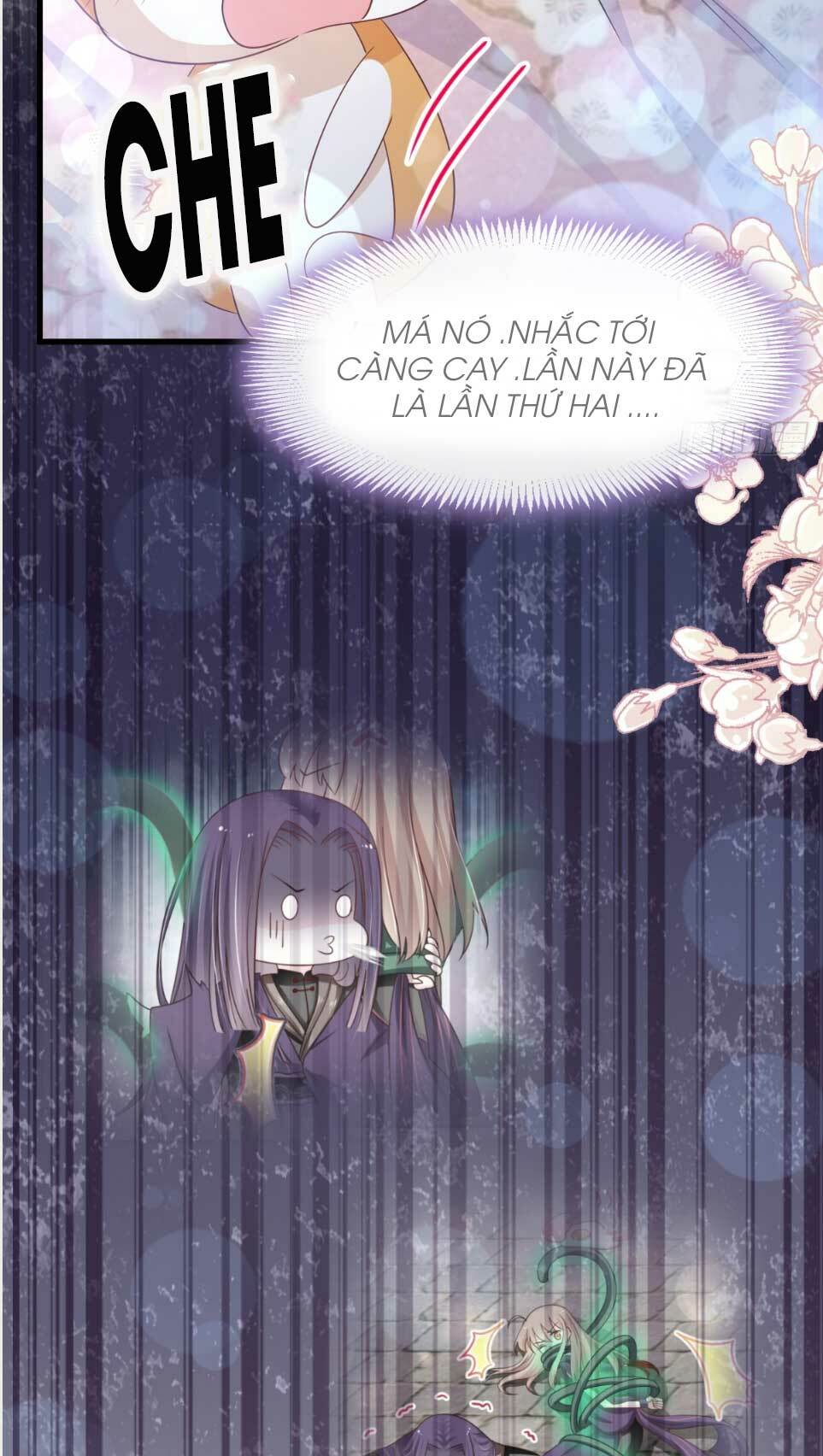 Thiên Hạ Đệ Nhất Sủng Phi: Chapter 155.2