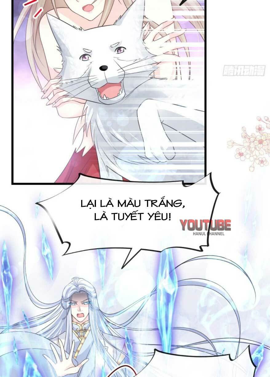 Thiên Hạ Đệ Nhất Sủng Phi: Chapter 198