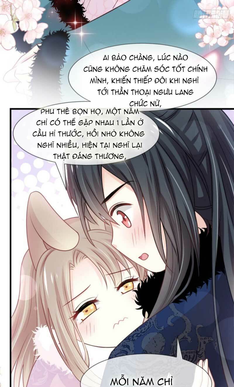 Thiên Hạ Đệ Nhất Sủng Phi: Chapter 204.1