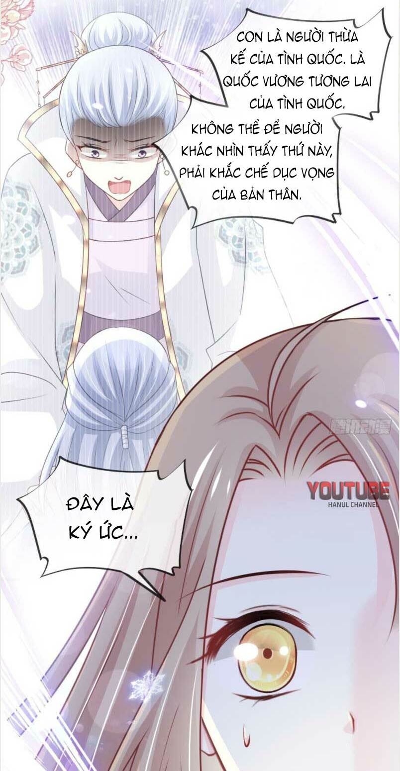Thiên Hạ Đệ Nhất Sủng Phi: Chapter 206.1