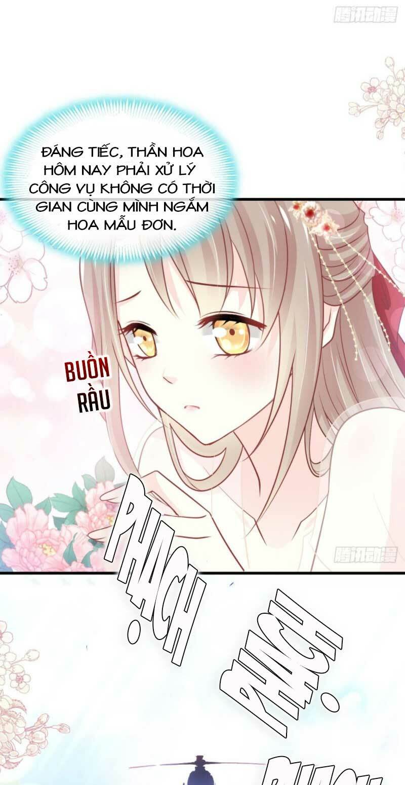 Thiên Hạ Đệ Nhất Sủng Phi: Chapter 214