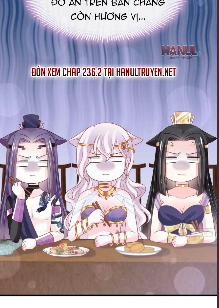 Thiên Hạ Đệ Nhất Sủng Phi: Chapter 236.1