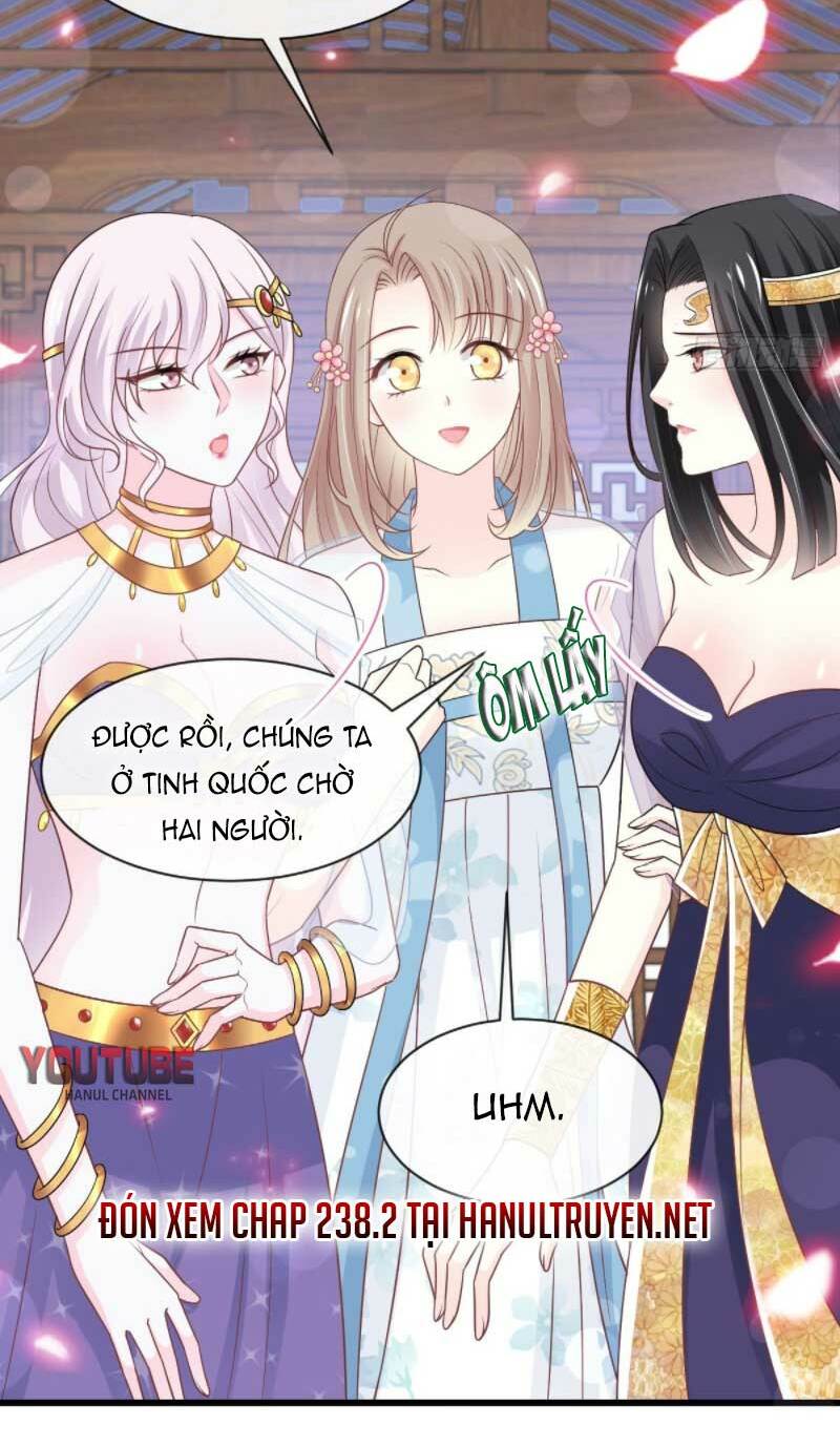 Thiên Hạ Đệ Nhất Sủng Phi: Chapter 238.1