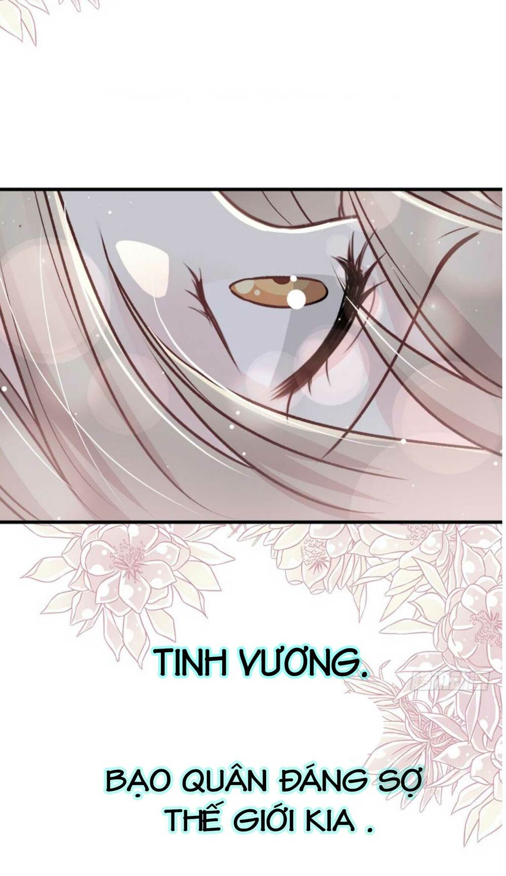 Thiên Hạ Đệ Nhất Sủng Phi: Chapter 24