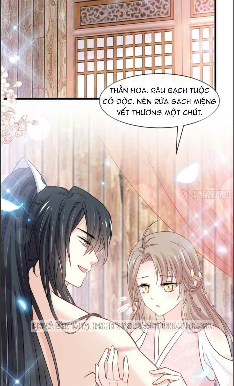Thiên Hạ Đệ Nhất Sủng Phi: Chapter 243.1
