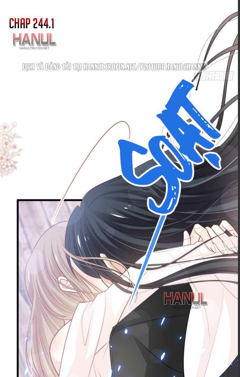Thiên Hạ Đệ Nhất Sủng Phi: Chapter 244.1