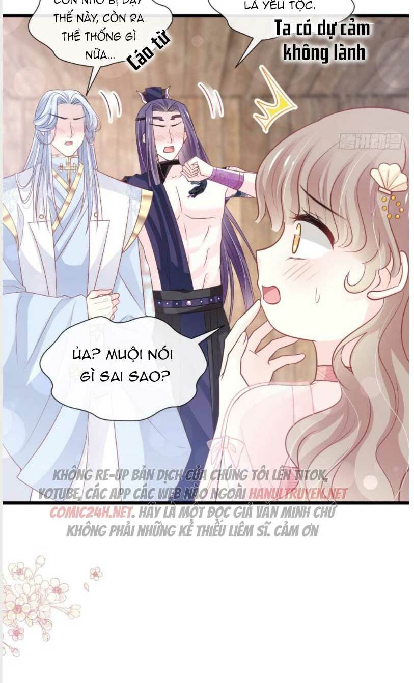 Thiên Hạ Đệ Nhất Sủng Phi: Chapter 245.2