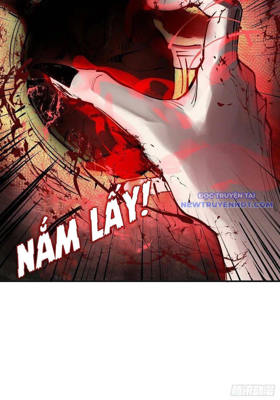 Xuyên Không Thành Chim: Chapter 185