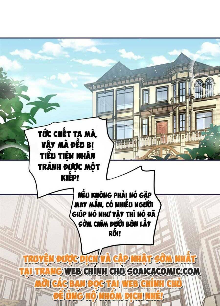 Đại Lão Nào Cũng Tranh Sủng Ta: Chapter 106