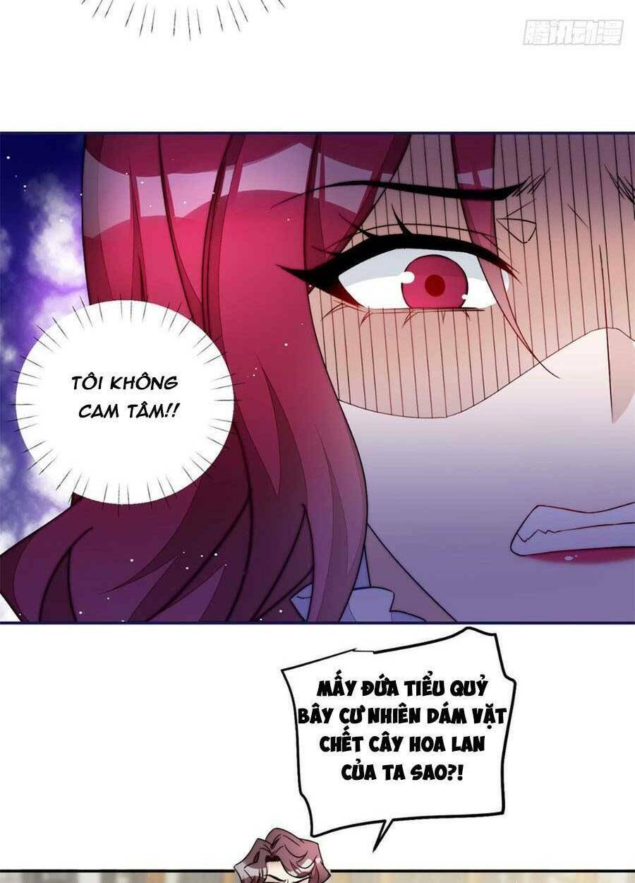 Đại Lão Nào Cũng Tranh Sủng Ta: Chapter 115