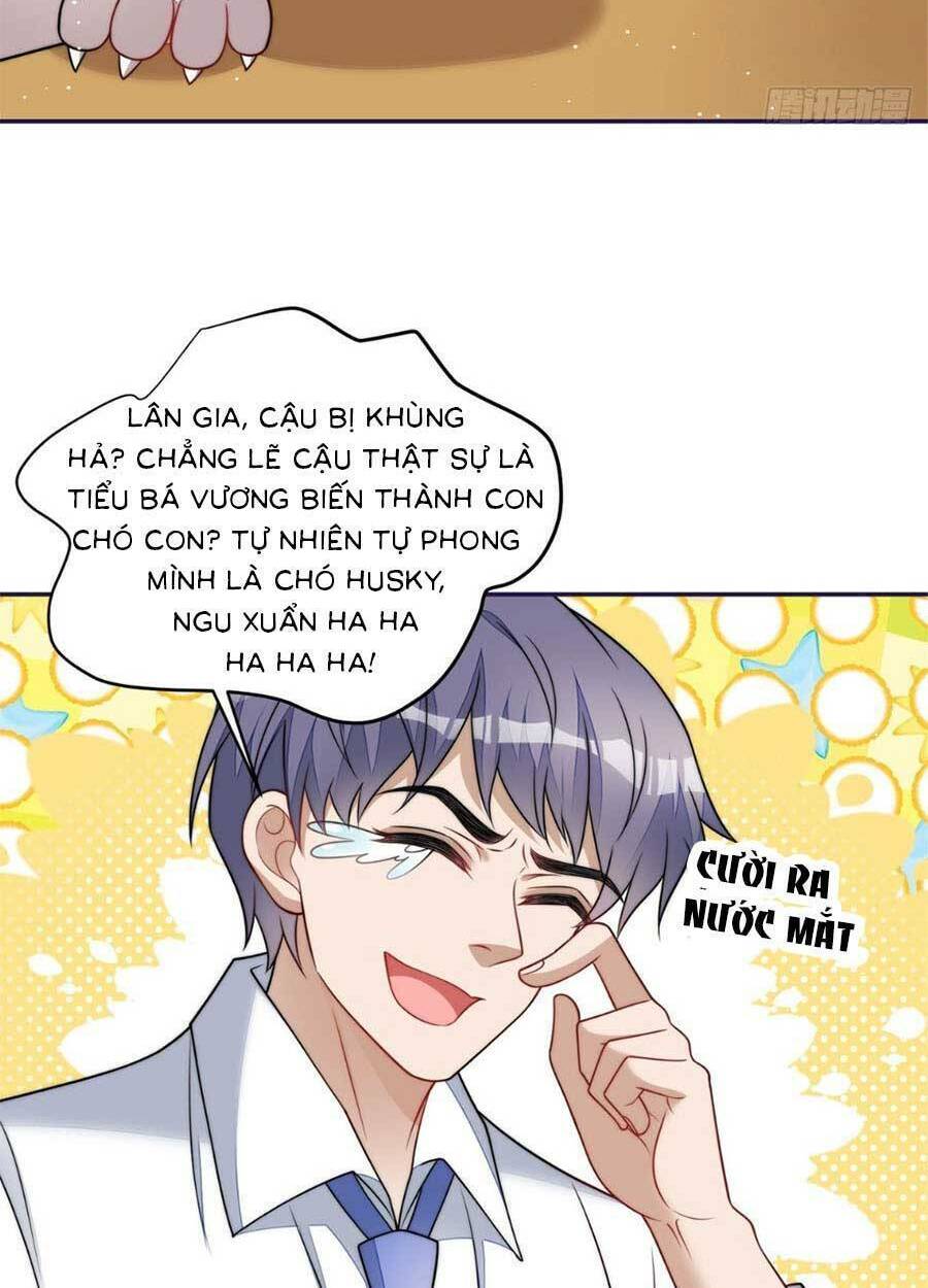 Đại Lão Nào Cũng Tranh Sủng Ta: Chapter 147