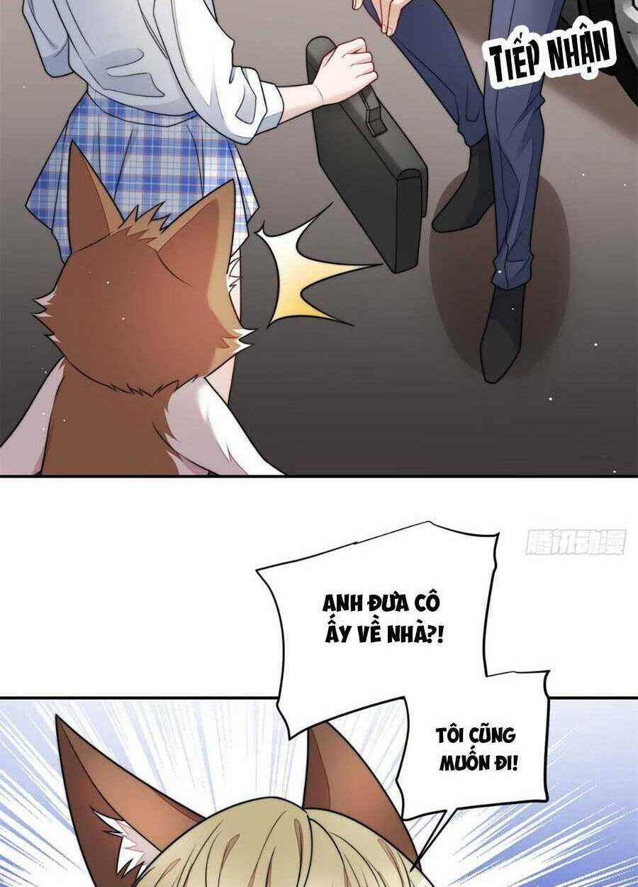 Đại Lão Nào Cũng Tranh Sủng Ta: Chapter 147