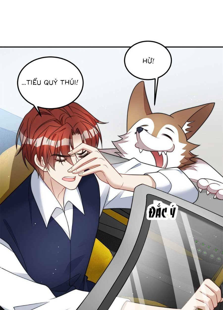 Đại Lão Nào Cũng Tranh Sủng Ta: Chapter 147