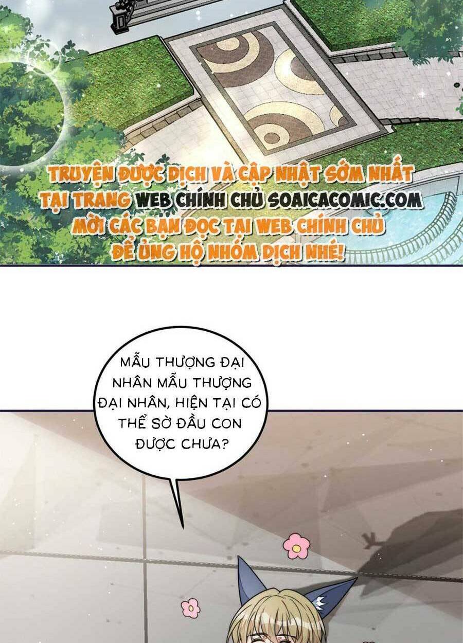 Đại Lão Nào Cũng Tranh Sủng Ta: Chapter 147