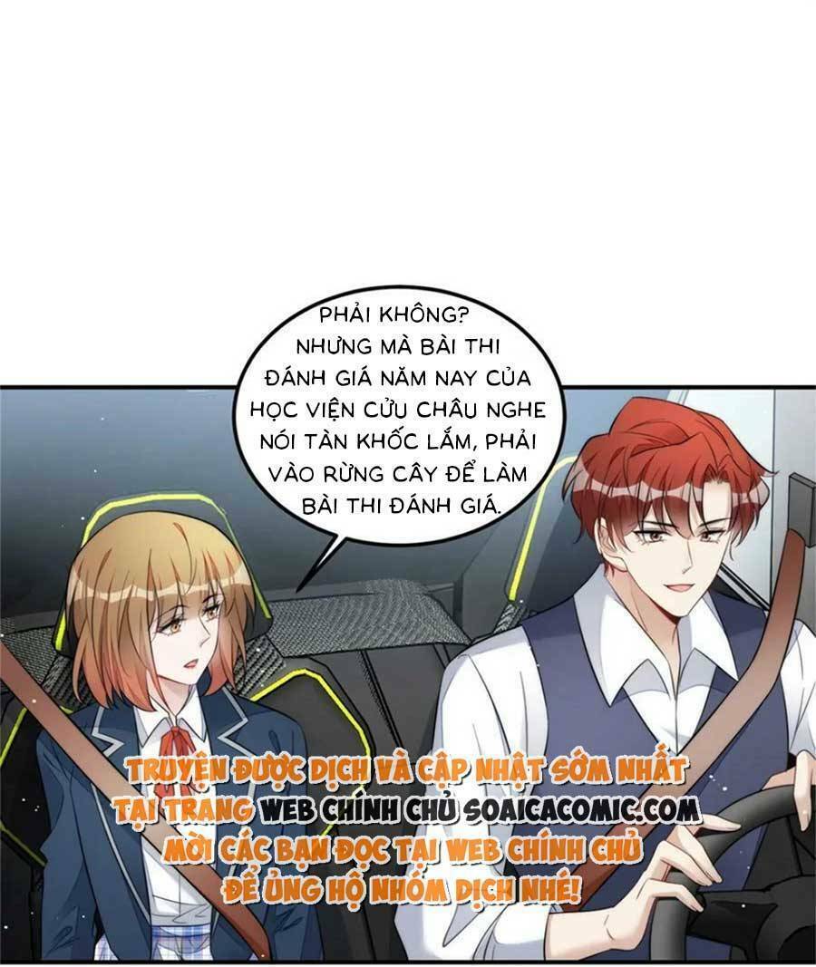Đại Lão Nào Cũng Tranh Sủng Ta: Chapter 243