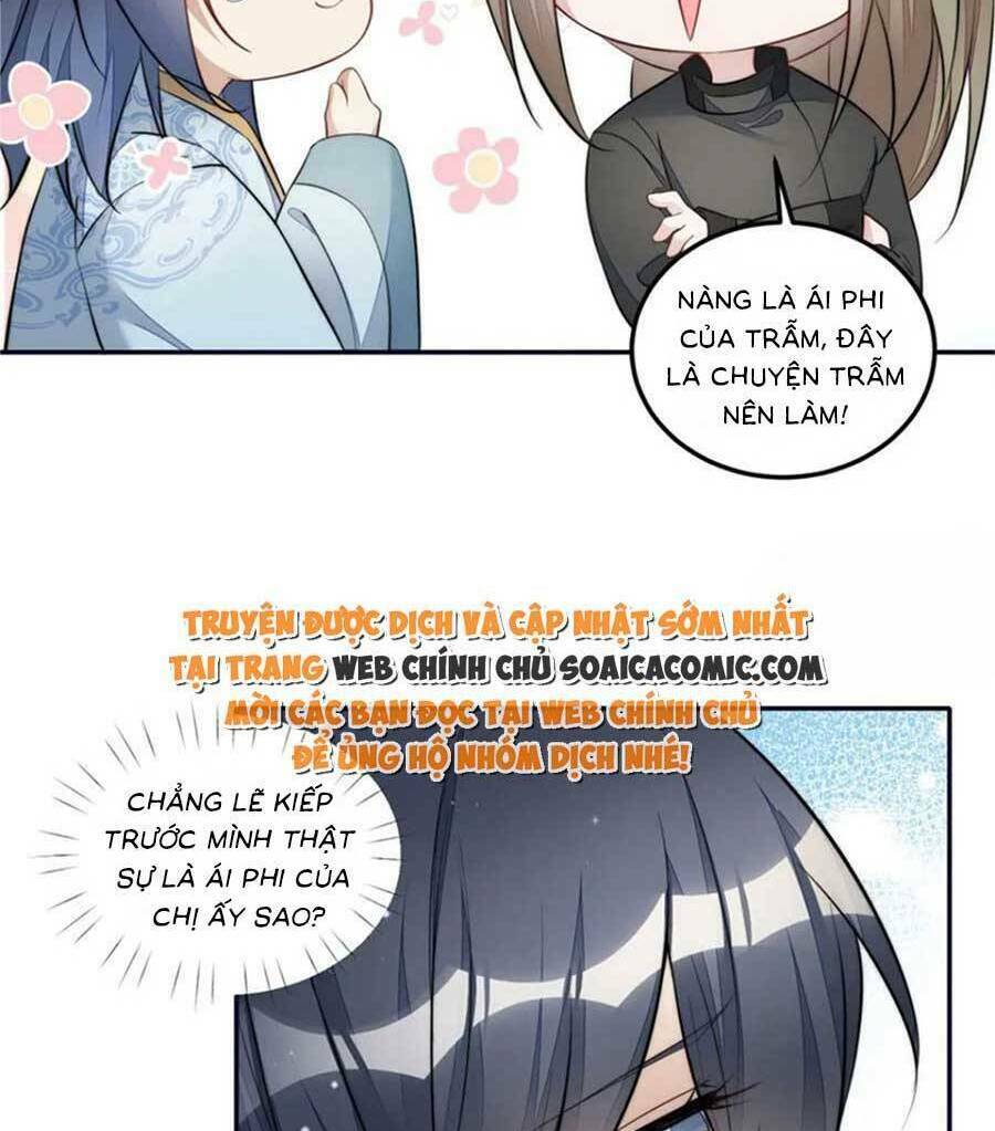 Đại Lão Nào Cũng Tranh Sủng Ta: Chapter 247