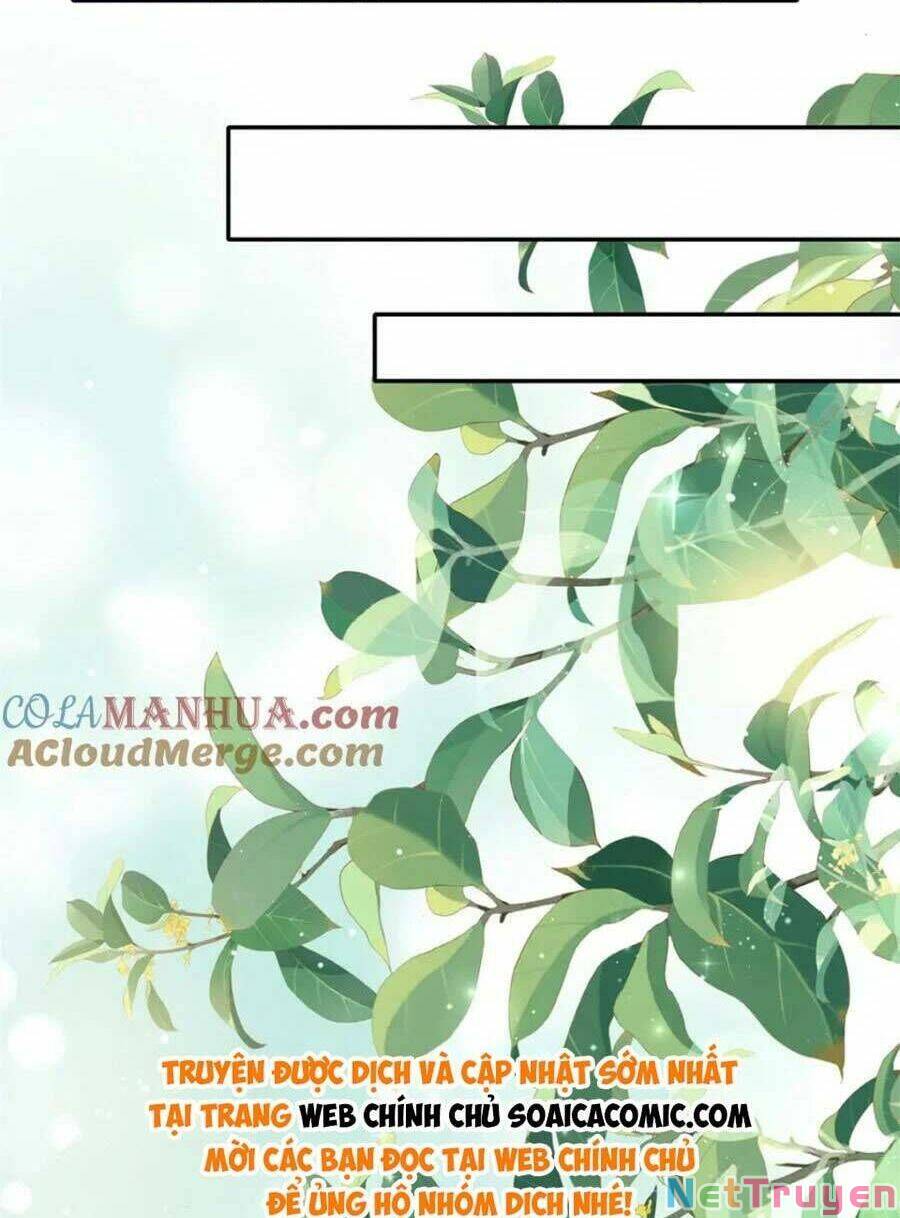 Đại Lão Nào Cũng Tranh Sủng Ta: Chapter 265