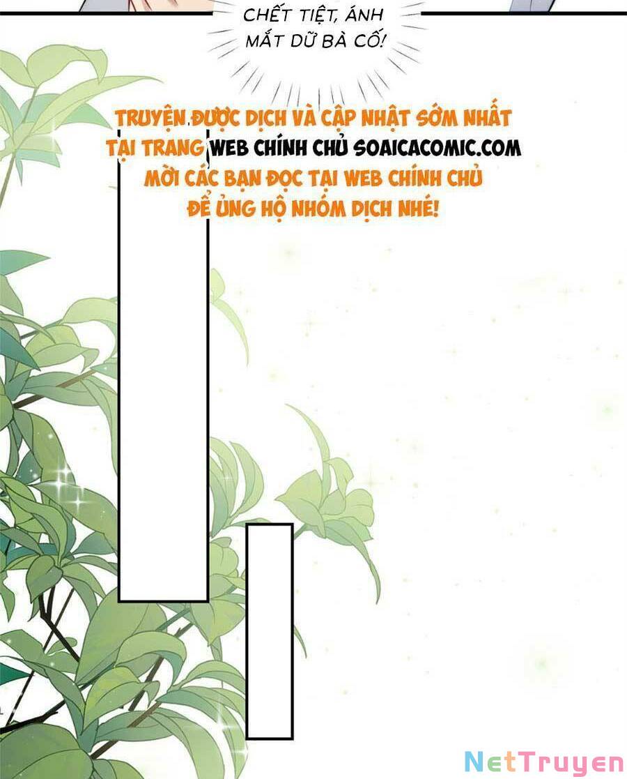 Đại Lão Nào Cũng Tranh Sủng Ta: Chapter 269