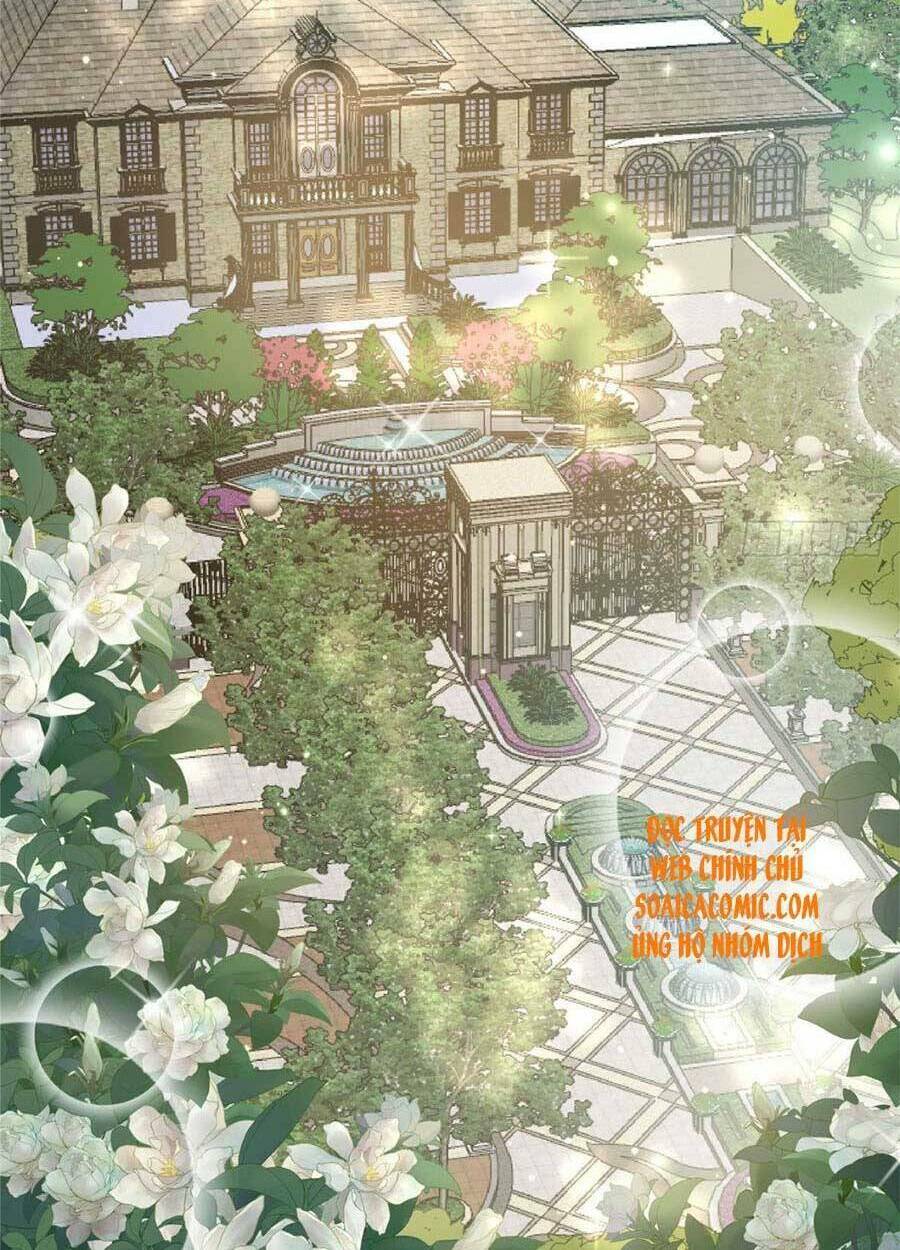 Đại Lão Nào Cũng Tranh Sủng Ta: Chapter 61
