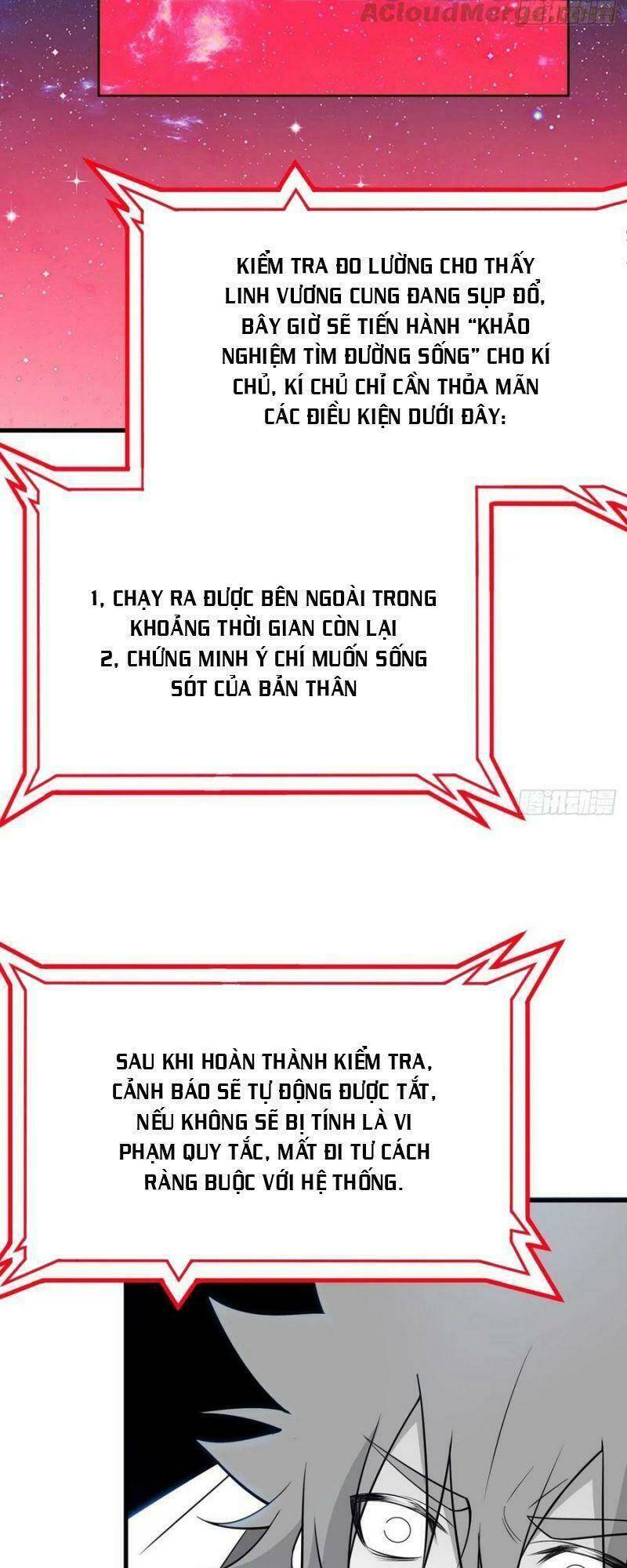 Ta Chỉ Muốn Bị Các Vị Đánh Chết: Chapter 43