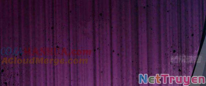 Ta Chỉ Muốn Bị Các Vị Đánh Chết: Chapter 71