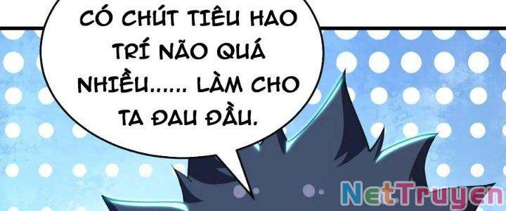 Ta Chỉ Muốn Bị Các Vị Đánh Chết: Chapter 71