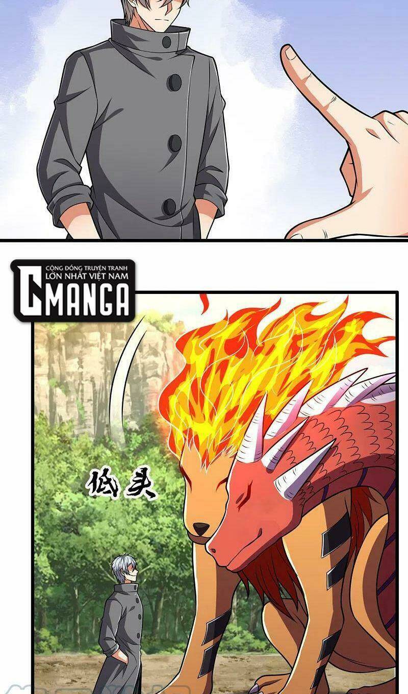 Đô Thị Chi Nghịch Thiên Tiên Tôn: Chapter 205