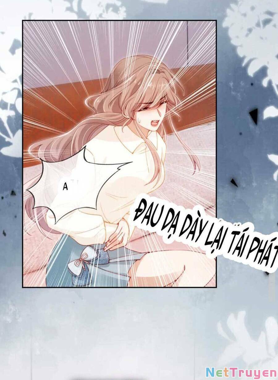 Hoắc Thiếu Lại Phải Theo Đuổi Vợ Yêu Rồi: Chapter 24