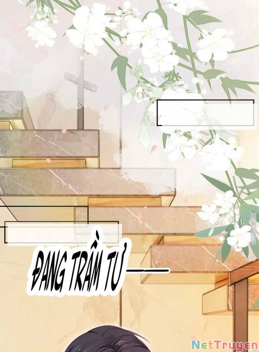 Hoắc Thiếu Lại Phải Theo Đuổi Vợ Yêu Rồi: Chapter 24