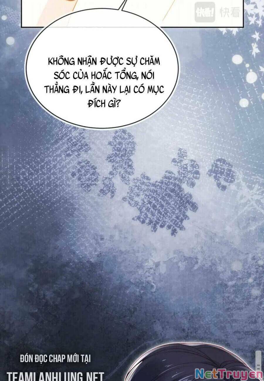 Hoắc Thiếu Lại Phải Theo Đuổi Vợ Yêu Rồi: Chapter 24