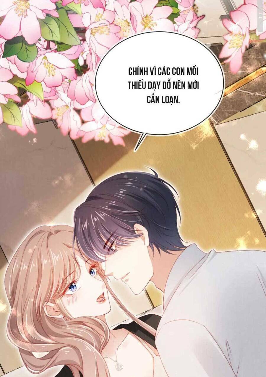 Hoắc Thiếu Lại Phải Theo Đuổi Vợ Yêu Rồi: Chapter 33