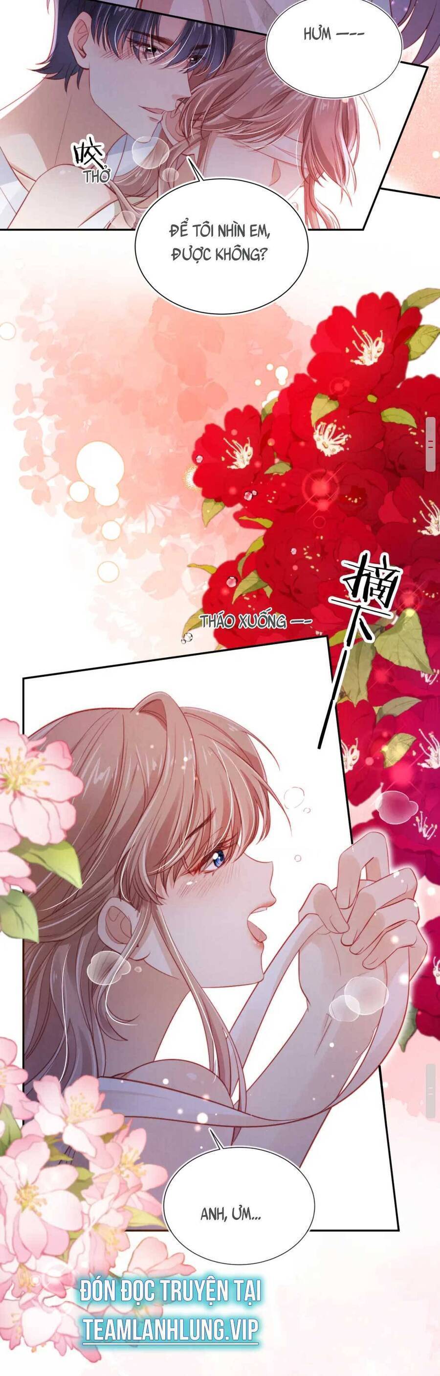 Hoắc Thiếu Lại Phải Theo Đuổi Vợ Yêu Rồi: Chapter 39