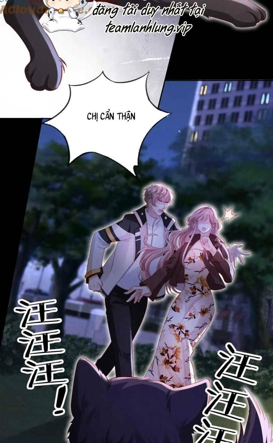 Hoắc Thiếu Lại Phải Theo Đuổi Vợ Yêu Rồi: Chapter 49