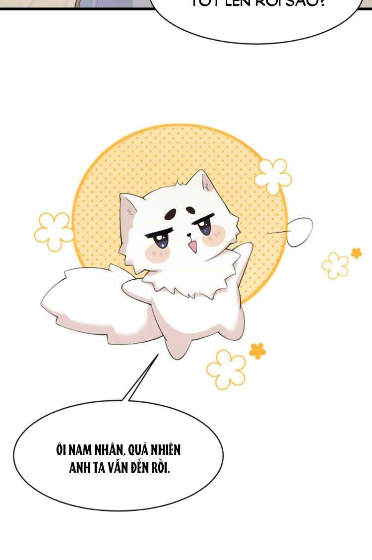 Tôn Trọng Số Mệnh Tra Nam, Buông Bỏ Tình Tiết Giúp Người: Chapter 4