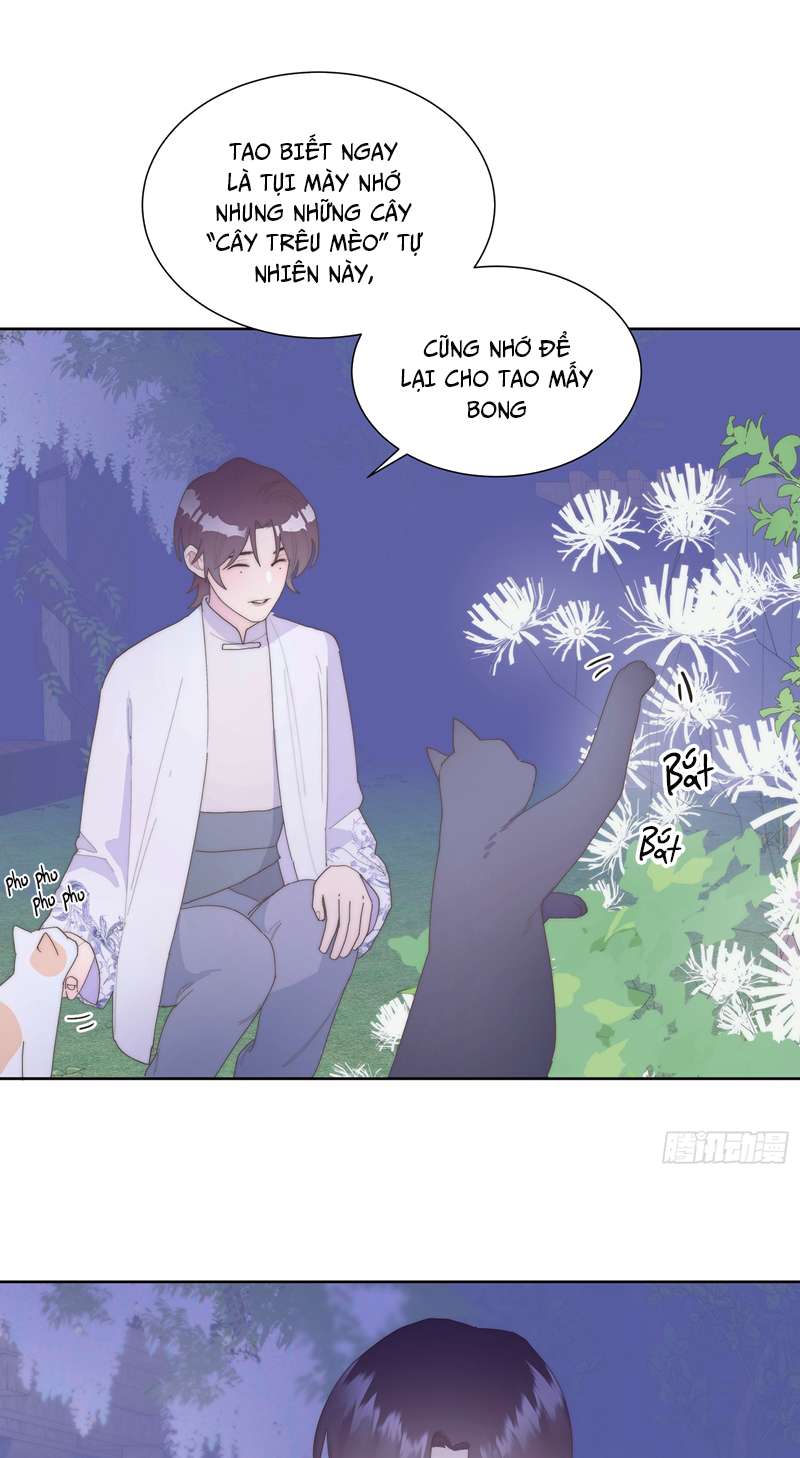 Mời Nhập Mật Mã Kích Hoạt: Chapter 5
