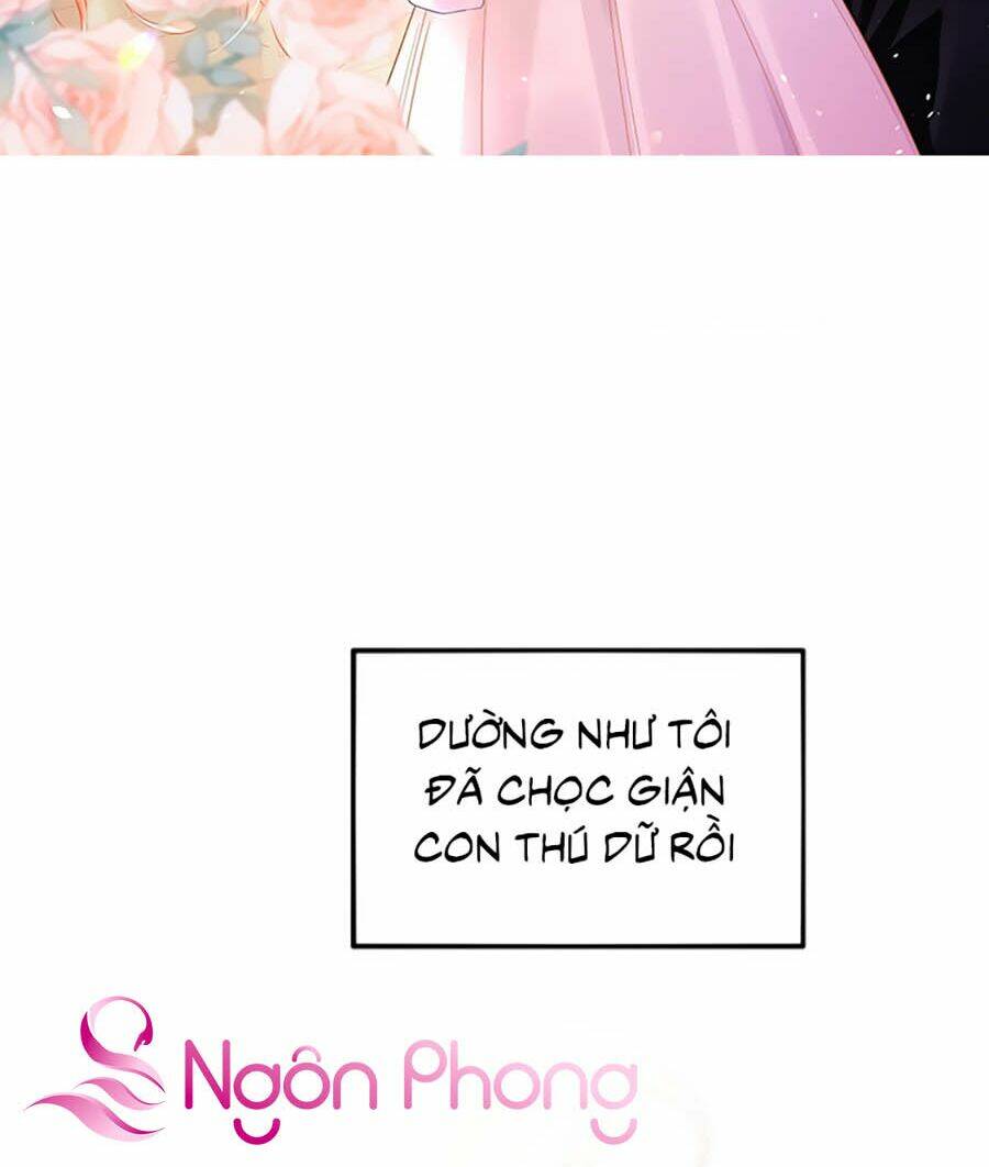 Hôm Nay Từ Chối Lục Tiên Sinh Chưa?: Chapter 1